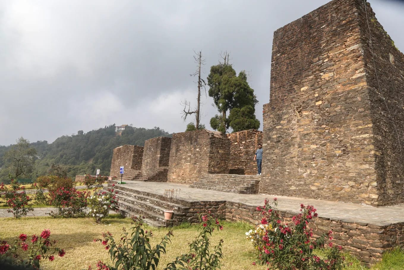 Pelling